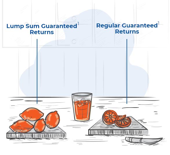 01-Lumpsum-Regular-Guaranteed-Return